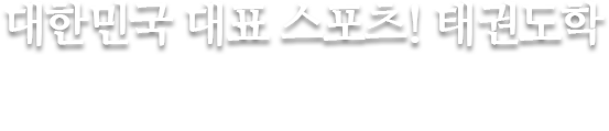 글로벌미래교육원 태권도학 - 세계 태권도 문화를 이끌어 나아갈 실력과 지성을 겸비한 태권도 지도자 배출
